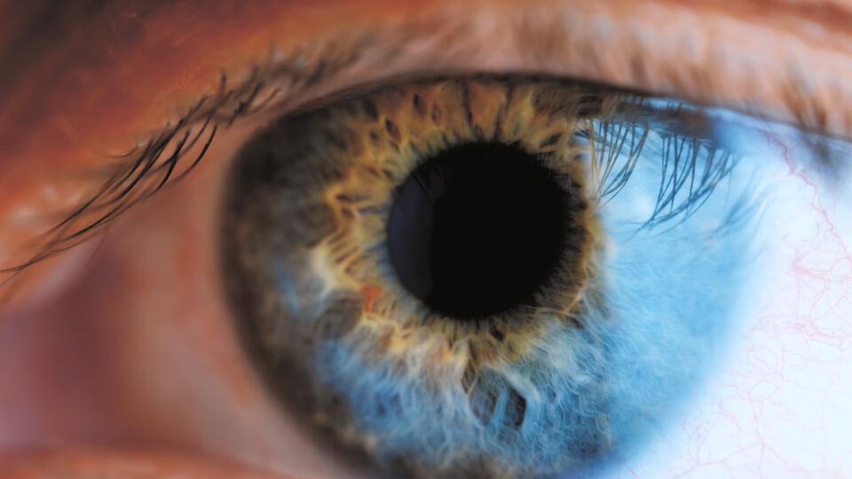 Home – Northpoint Eyecare